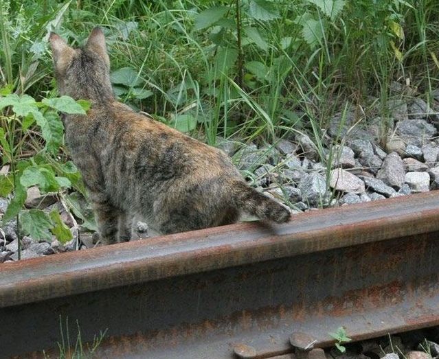 Funny picdump (125 pics)