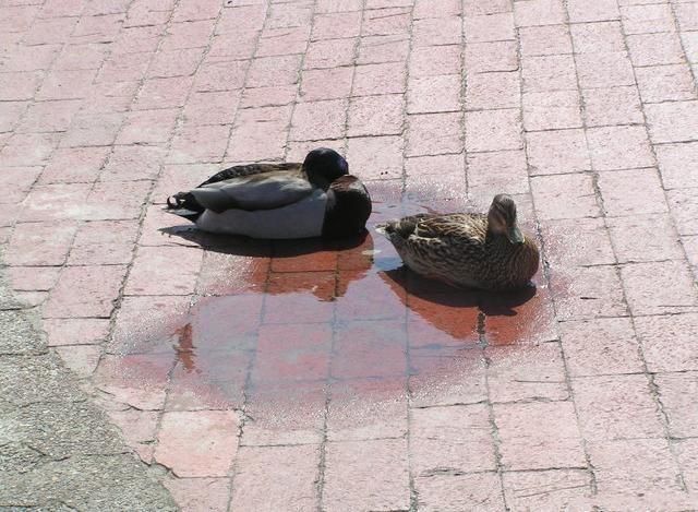 Funny picdump (125 pics)