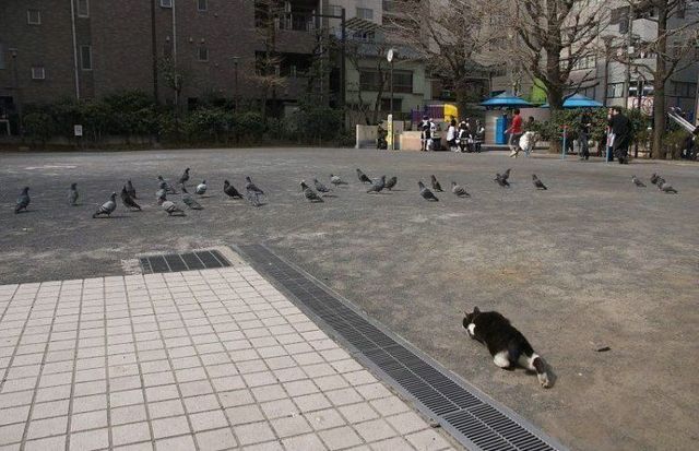 Funny picdump (125 pics)