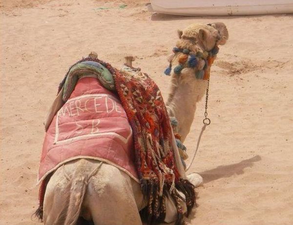 Funny picdump (125 pics)