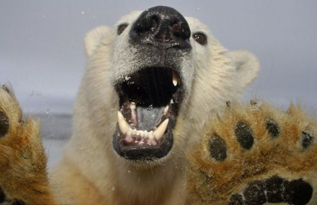 Funny picdump (125 pics)