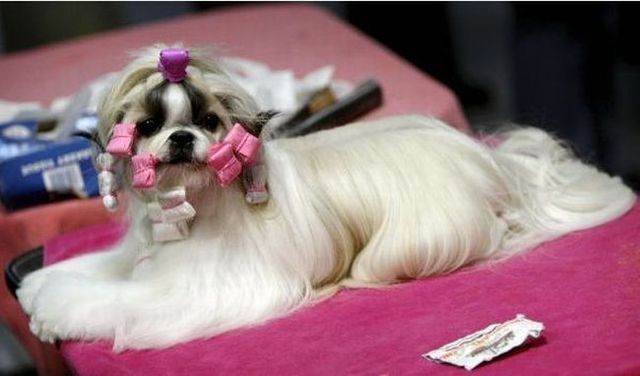 Funny picdump (125 pics)