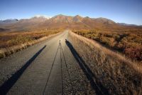 Curiosities and bonus pictures