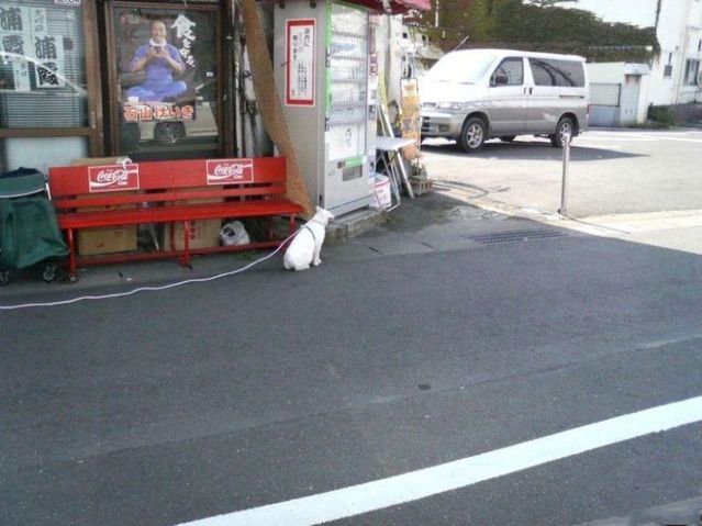 Funny picdump (106 pics)