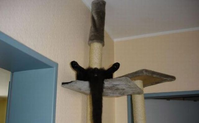 Funny picdump (106 pics)