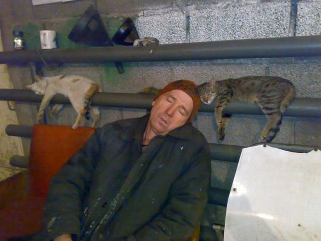 Funny picdump (106 pics)