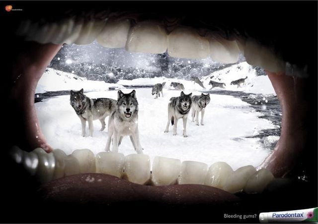 Funny picdump (106 pics)