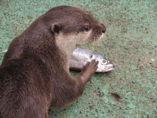 Funny picdump (106 pics)