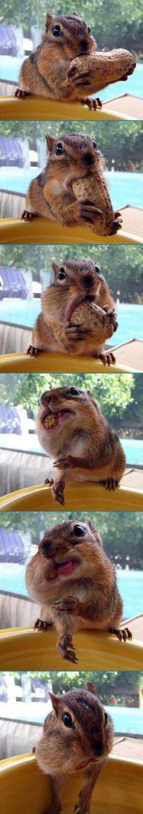 Funny picdump (106 pics)