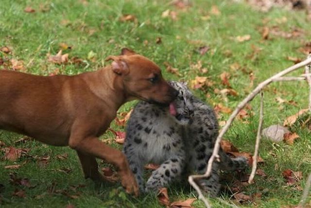 Funny picdump (106 pics)