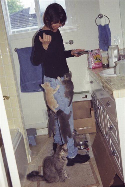 Funny picdump (106 pics)