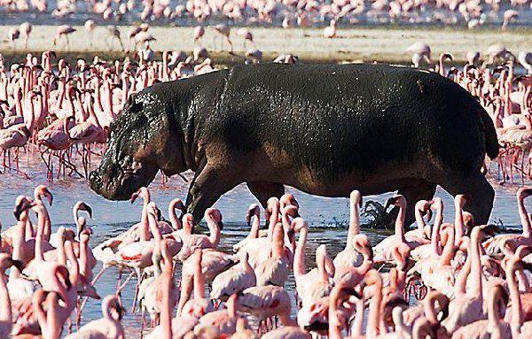 Funny picdump (106 pics)