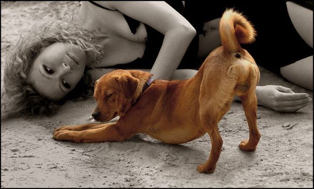 Funny picdump (106 pics)