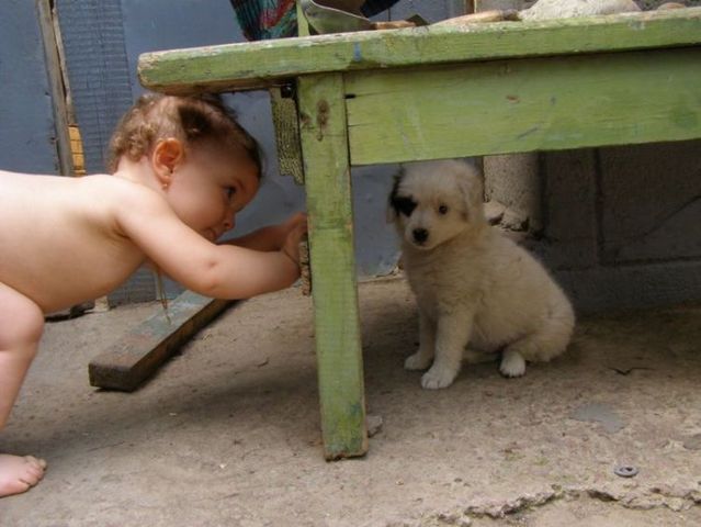 Funny picdump (106 pics)