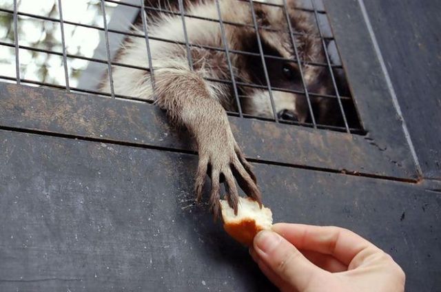 Funny picdump (106 pics)