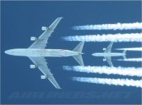 Curiosities and bonus pictures