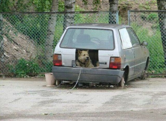 Funny picdump (154 pics)