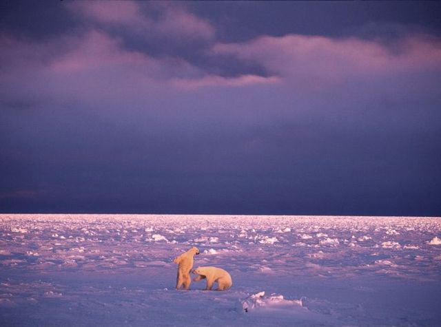 Funny picdump (154 pics)