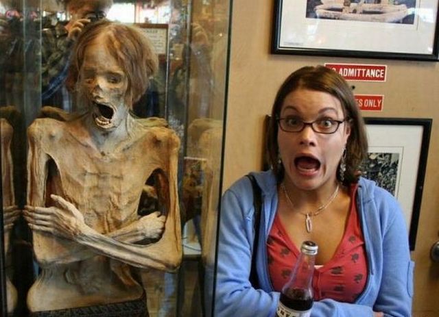 Funny picdump (154 pics)