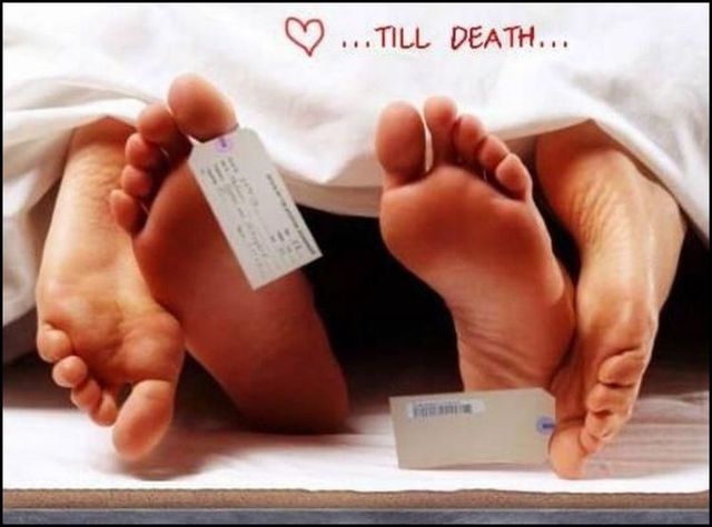 Funny picdump (154 pics)