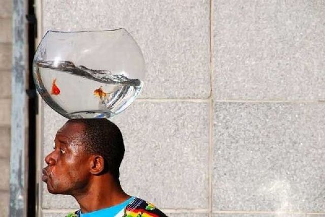 Funny picdump (154 pics)