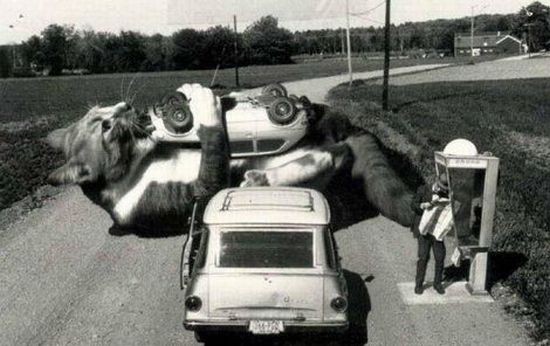 Funny picdump (154 pics)