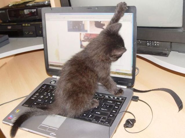 Funny picdump (154 pics)