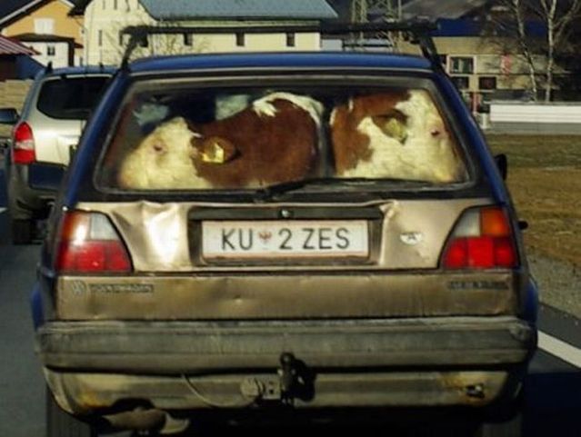 Funny picdump (154 pics)