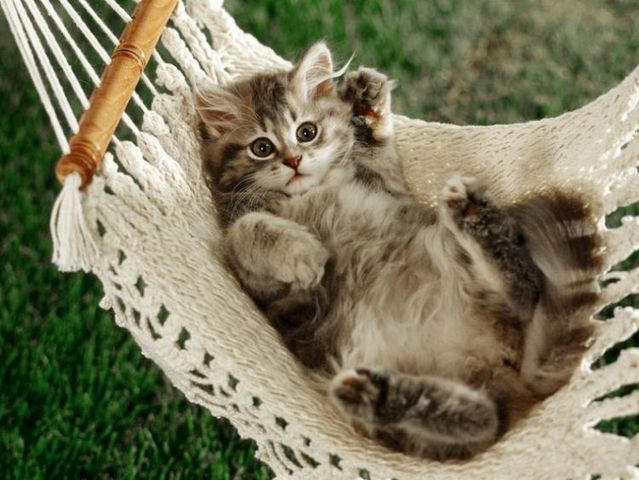 Funny picdump (154 pics)