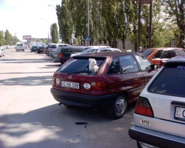 Funny picdump (129 pics)