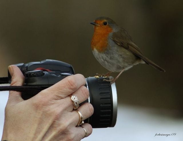 Funny picdump (129 pics)