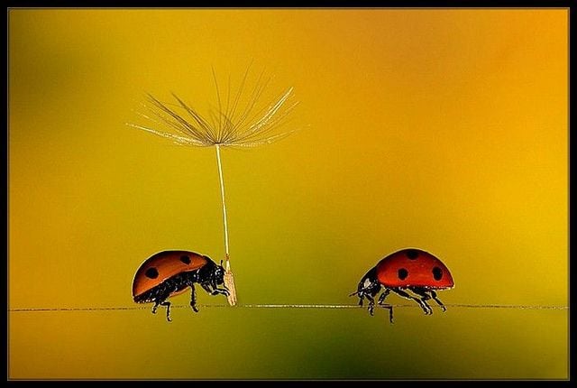 Funny picdump (129 pics)