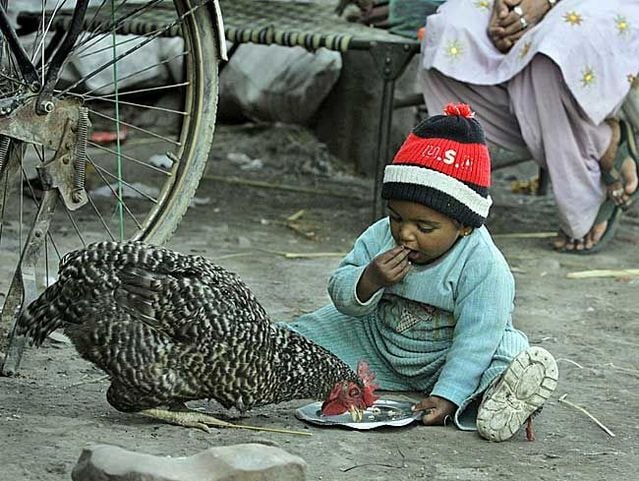 Funny picdump (129 pics)