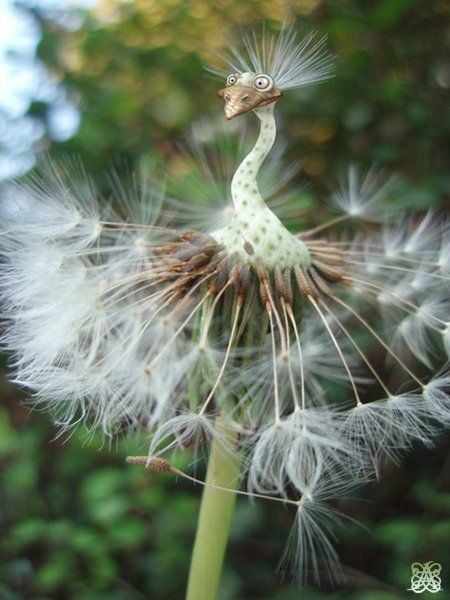 Funny picdump (129 pics)