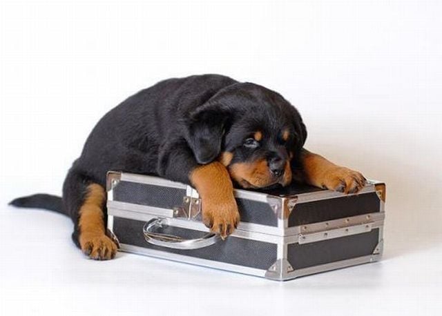 Funny picdump (129 pics)