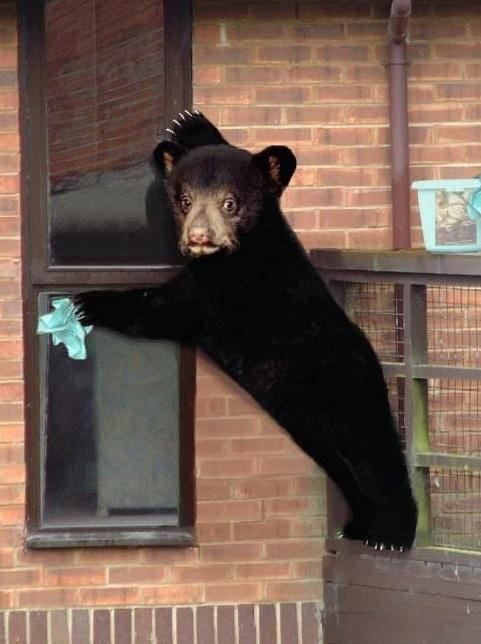 Funny picdump (129 pics)