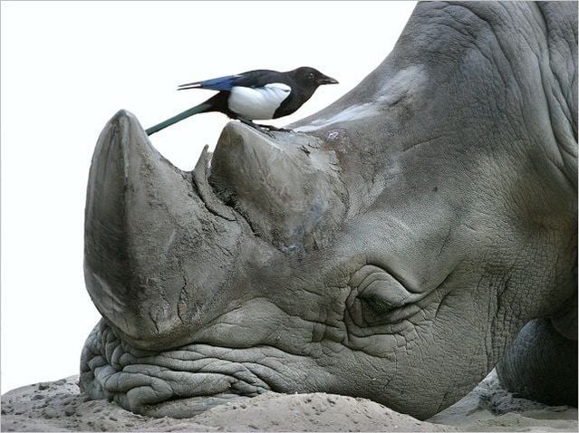 Funny picdump (129 pics)