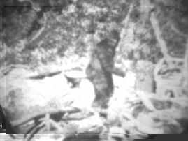 Curiosities and bonus pictures