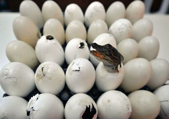 Funny picdump (129 pics)