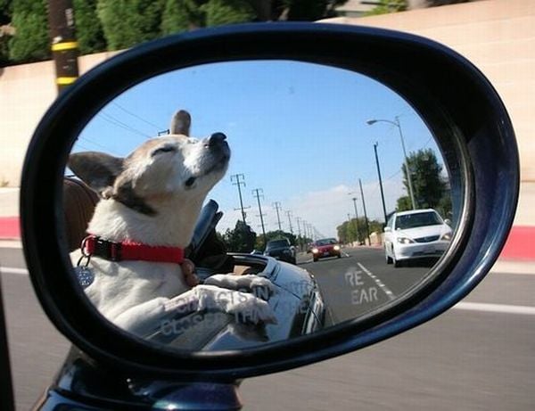 Funny picdump (129 pics)