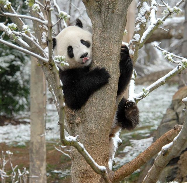 Funny picdump (100 pics)