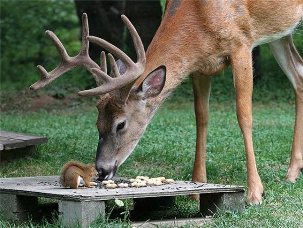 Funny picdump (100 pics)