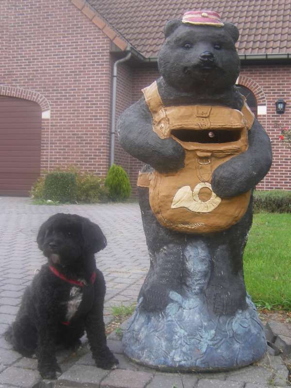 Funny picdump (100 pics)