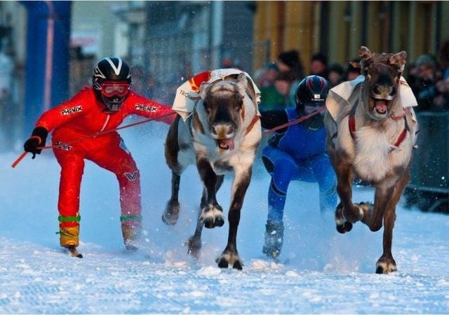 Funny picdump (116 pics)