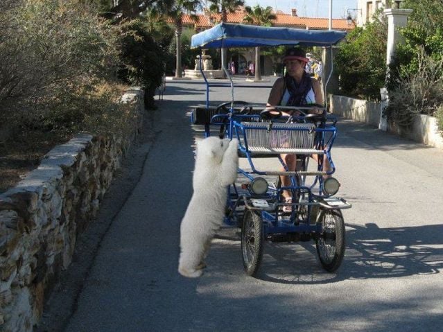 Funny picdump (116 pics)