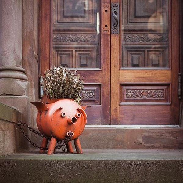 Funny picdump (116 pics)