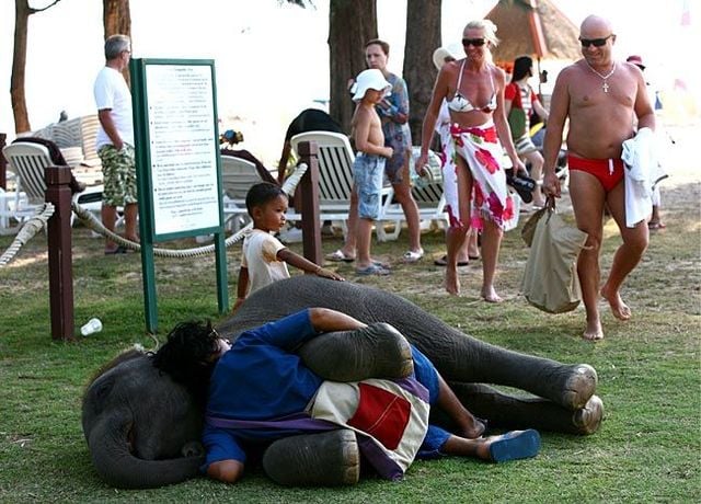 Funny picdump (116 pics)