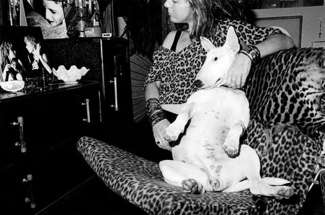 Funny picdump (116 pics)