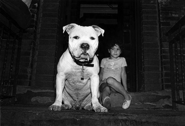 Funny picdump (116 pics)