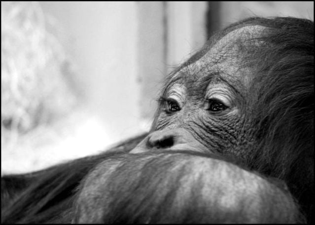 Funny picdump (116 pics)